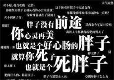 sw410演员
